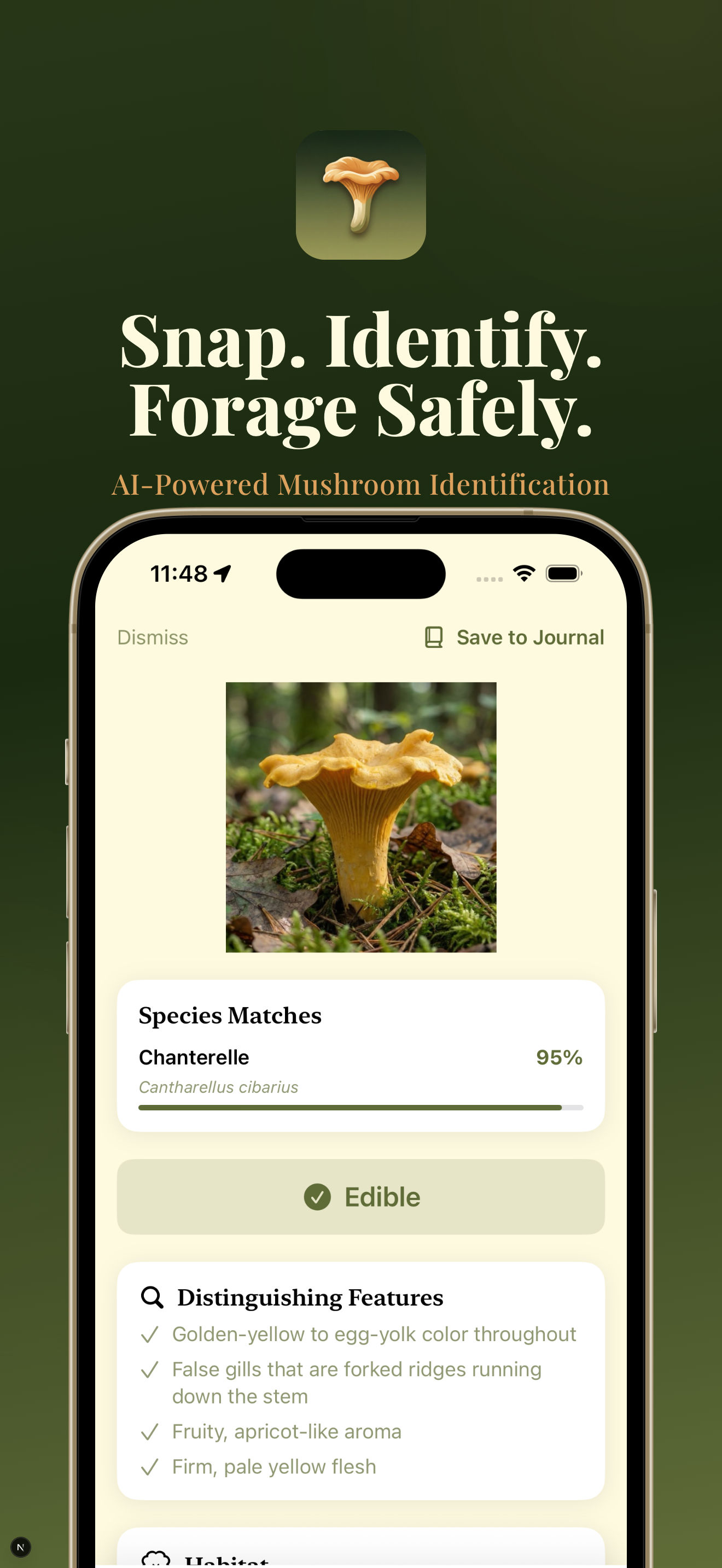 Snap, identify, and forage safely — AI-powered mushroom identification showing Chanterelle with 95% confidence