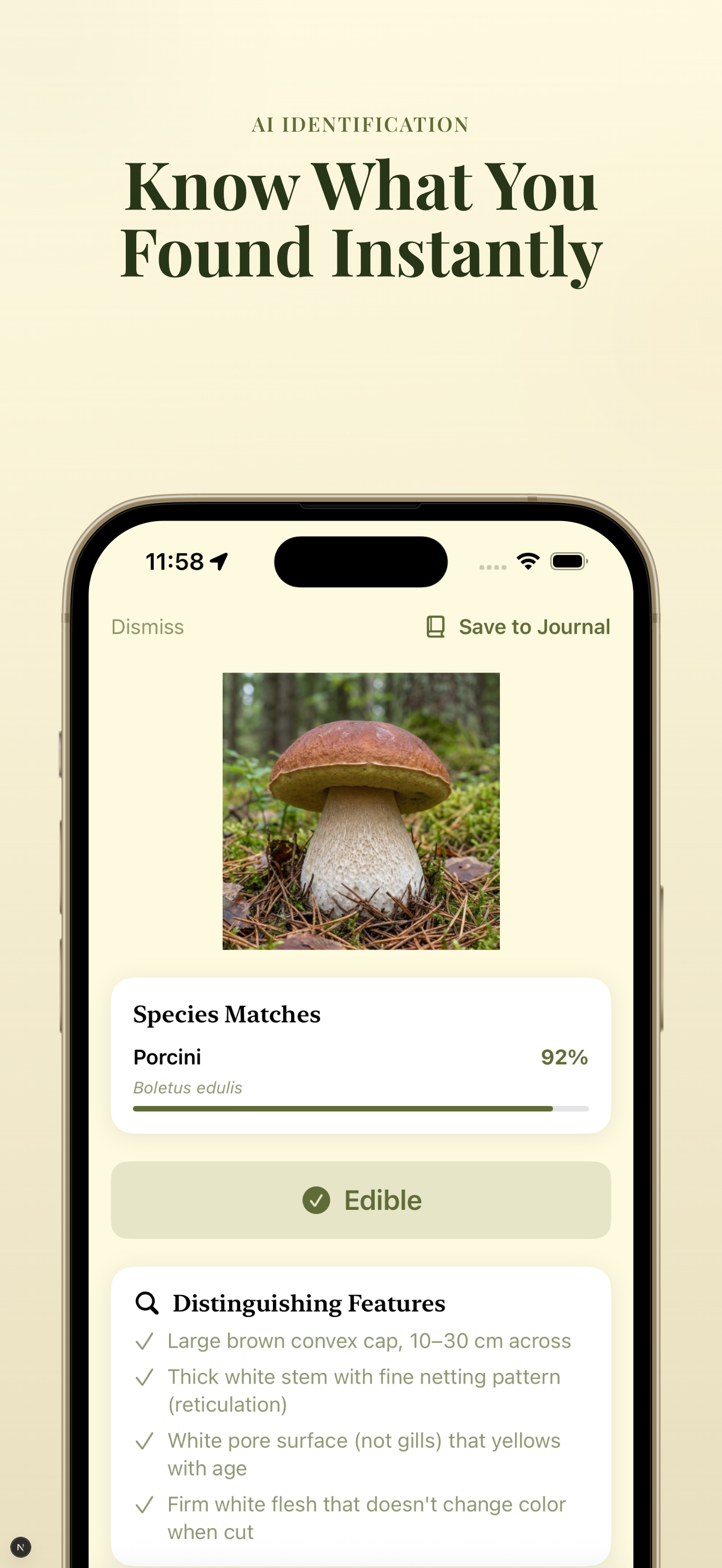 AI identification result for Porcini mushroom with 92% confidence, edibility rating, and distinguishing features