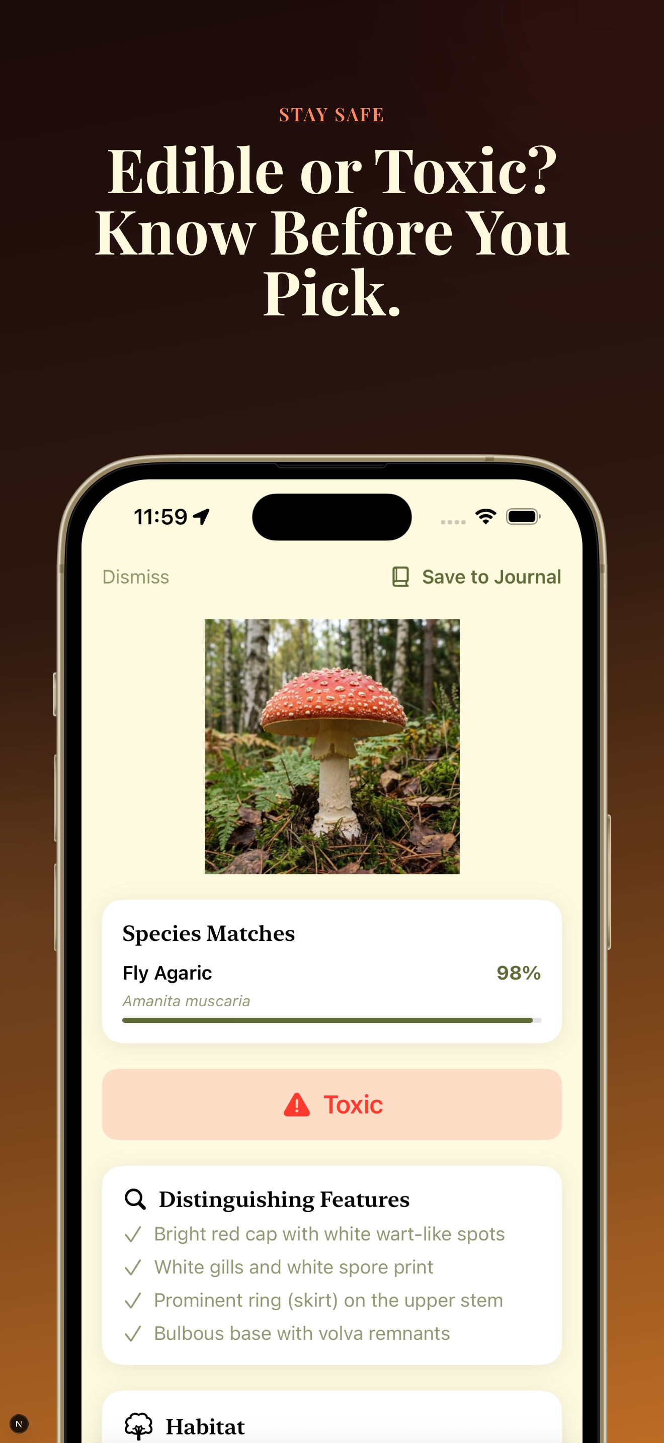 Toxic mushroom alert — Fly Agaric identified as toxic with 98% confidence and distinguishing features