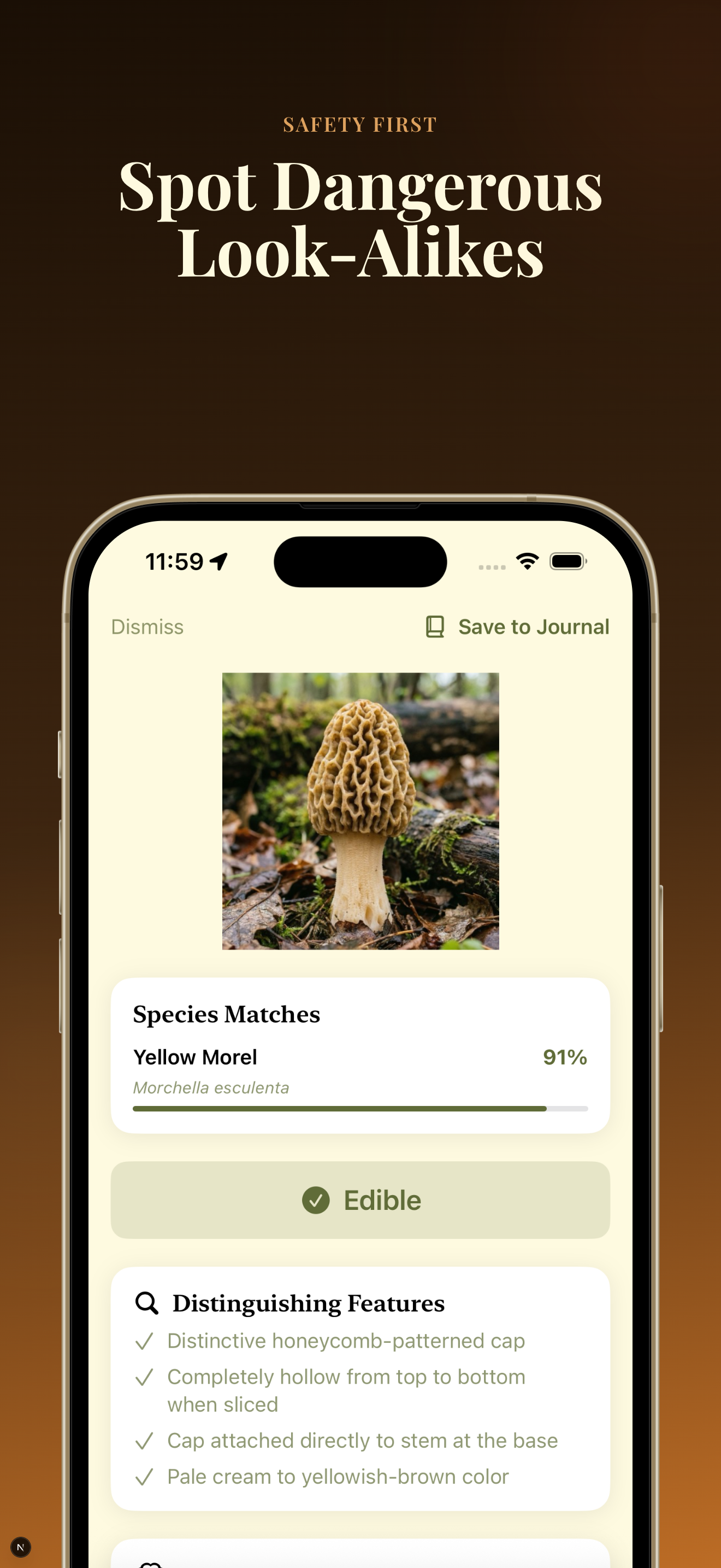 Safety-first look-alike detection for Yellow Morel with dangerous look-alike warnings
